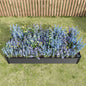 Raised Garden Bed Kit - Metal Raised Bed Garden