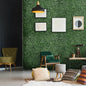 Coolbibila Artificial Boxwood Panels Topiary Wall Greenery Backdrop, Privacy Hedge Screen