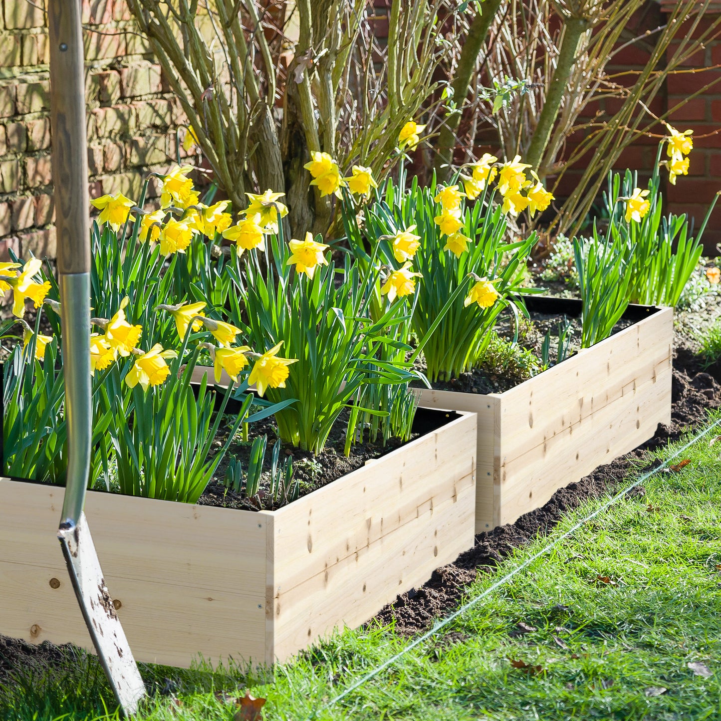 Coolbibila Wooden Raised Garden Bed Kit, Elevated Planter Box