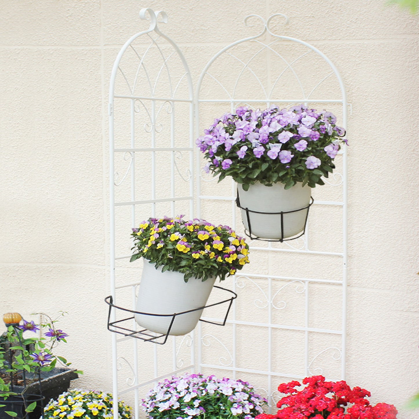 Coolbibila 2 Pack Metal Garden Trellis
