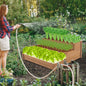 Raised Garden Bed Horticulture Outdoor Elevated Flower Box Tiered Garden Bed
