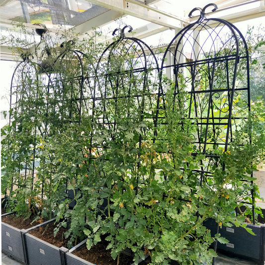 Coolbibila 4 Pack Metal Garden Trellis 71" x 19.7" Rustproof Trellis for Climbing Plants Outdoor Flower Support Black