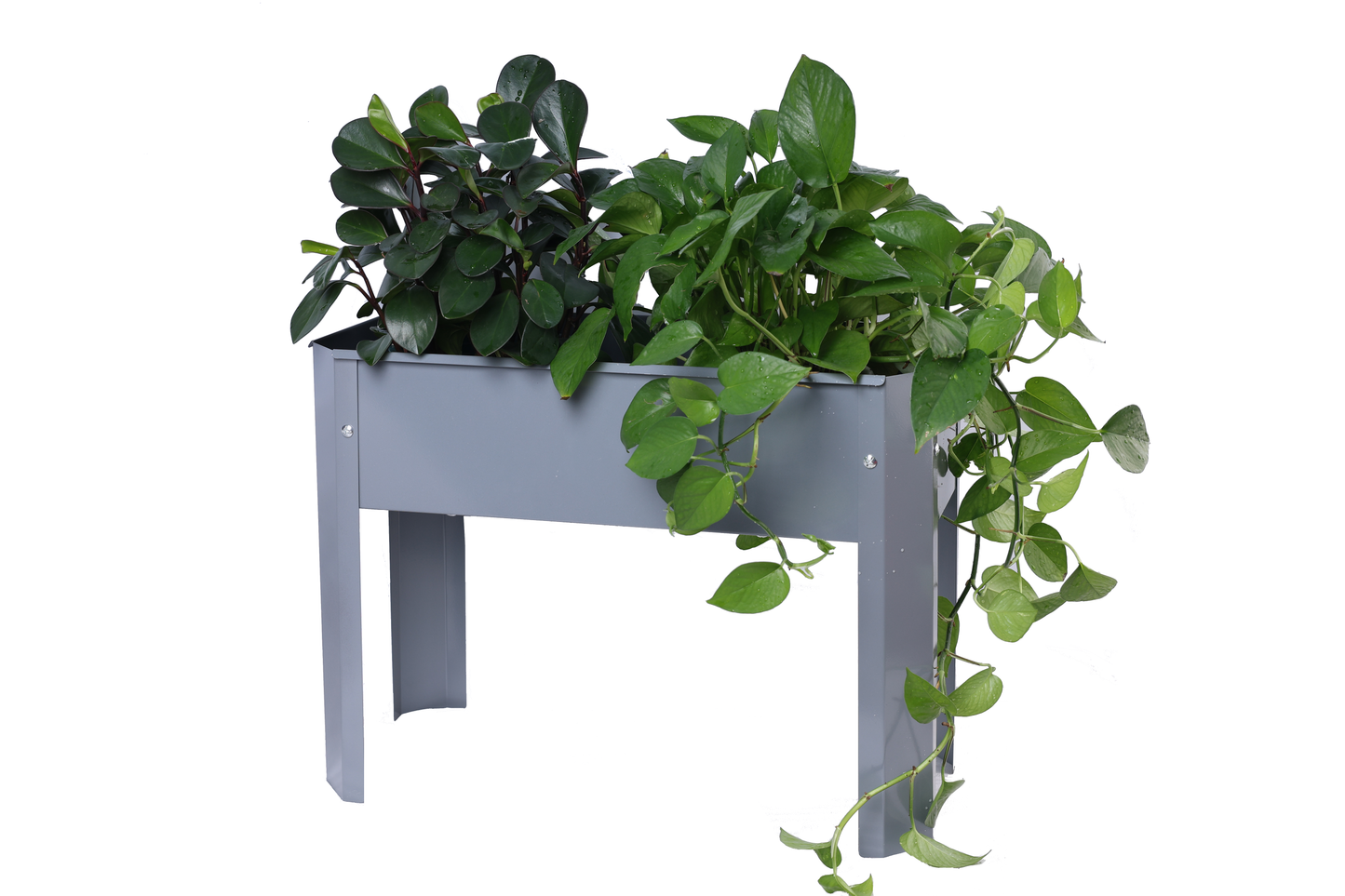 Elevated garden bed, metal elevated outdoor flowerpot box